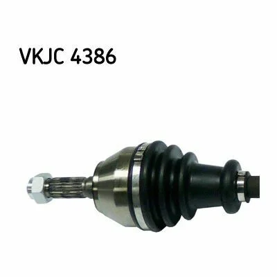 distriauto2-695427