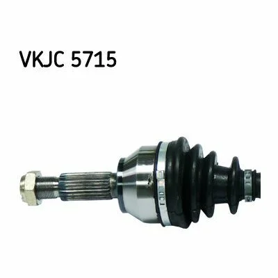 distriauto2-695581