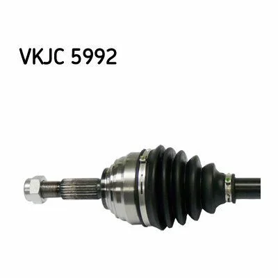 distriauto2-695583