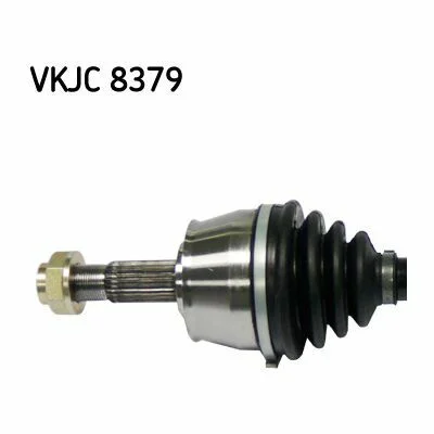 distriauto2-695692