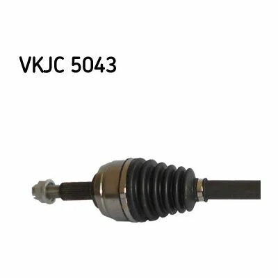 distriauto2-752045