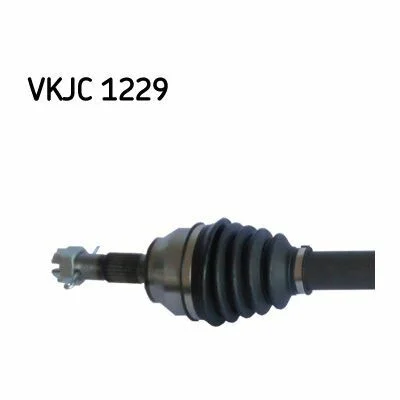 distriauto2-752069