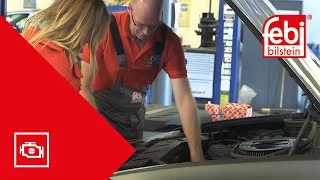 distriauto2-755494