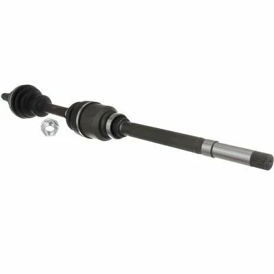 distriauto2-780496