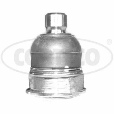 distriauto3-698674