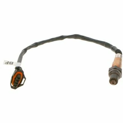 distriauto3-719621