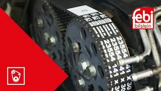 distriauto3-743263
