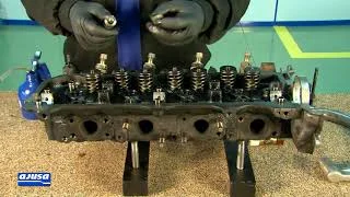 distriauto4-707996