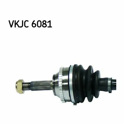 distriauto5-845306