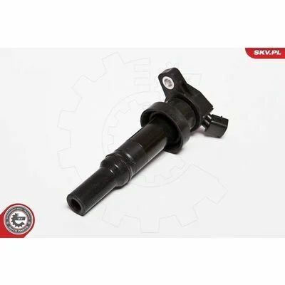 distriauto6-805596
