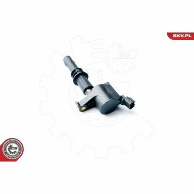 distriauto6-805649
