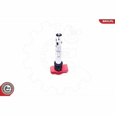 distriauto6-805756