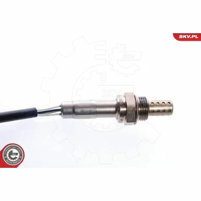 distriauto6-810629