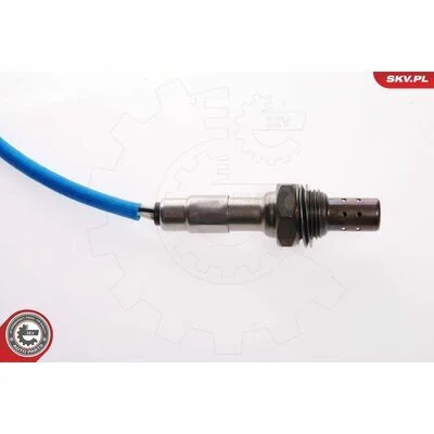 distriauto6-810697