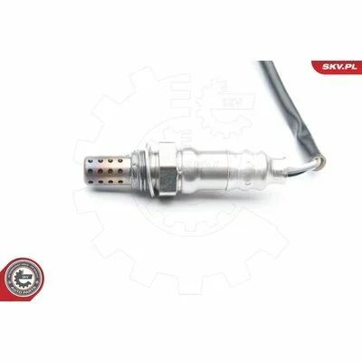 distriauto6-811204