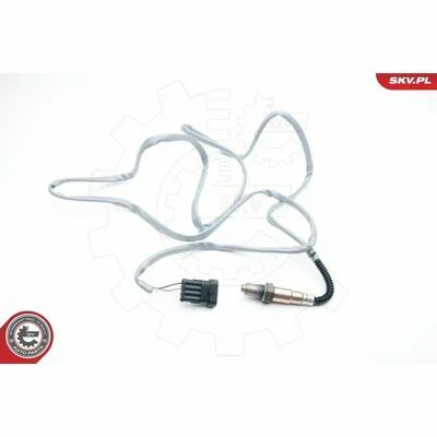 distriauto6-811273