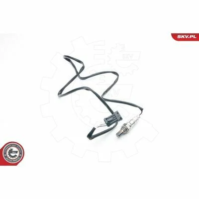 distriauto6-811277