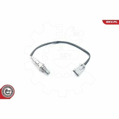 distriauto6-811424