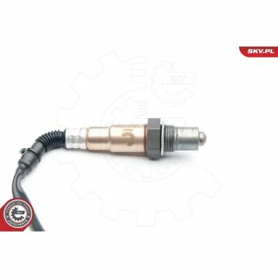 distriauto6-811476
