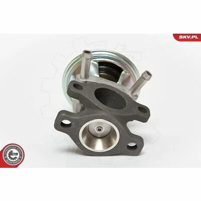 distriauto6-827938