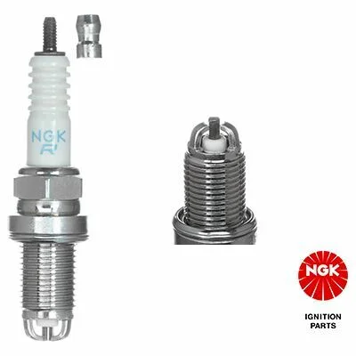 distriauto6-842489