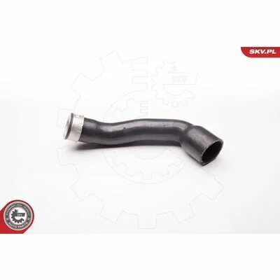 distriauto6-847496