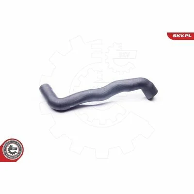distriauto6-847744