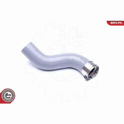 distriauto6-848567
