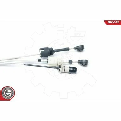distriauto6-854522