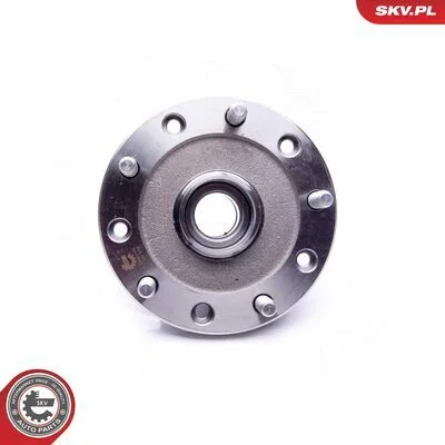 distriauto6-856556