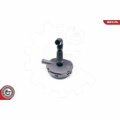 distriauto6-865299