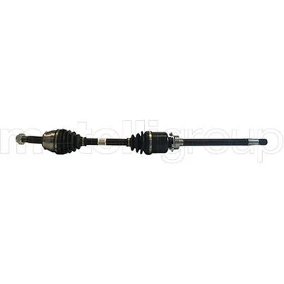distriauto7-804513