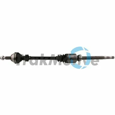 distriauto7-819419