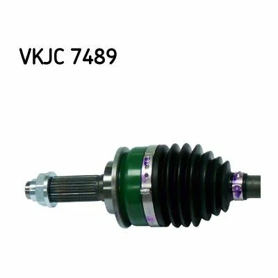 distriauto7-894148
